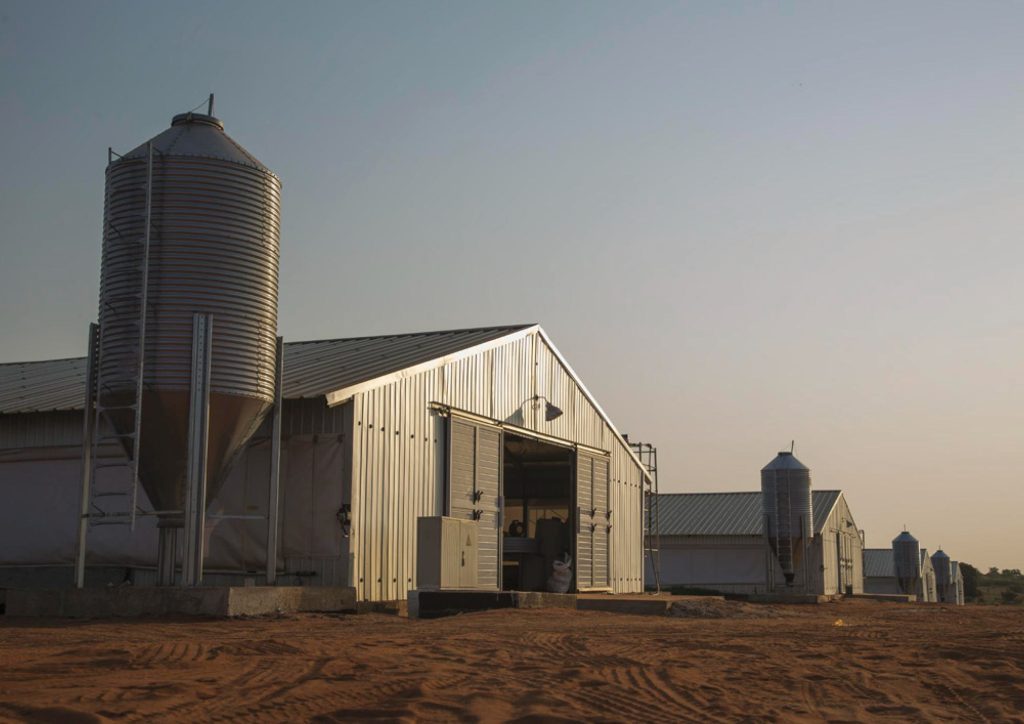 A barn with a silo in the background