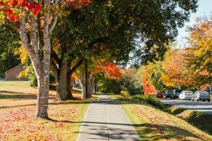 Top Benefits of Stabilizing Your Concrete Sidewalks