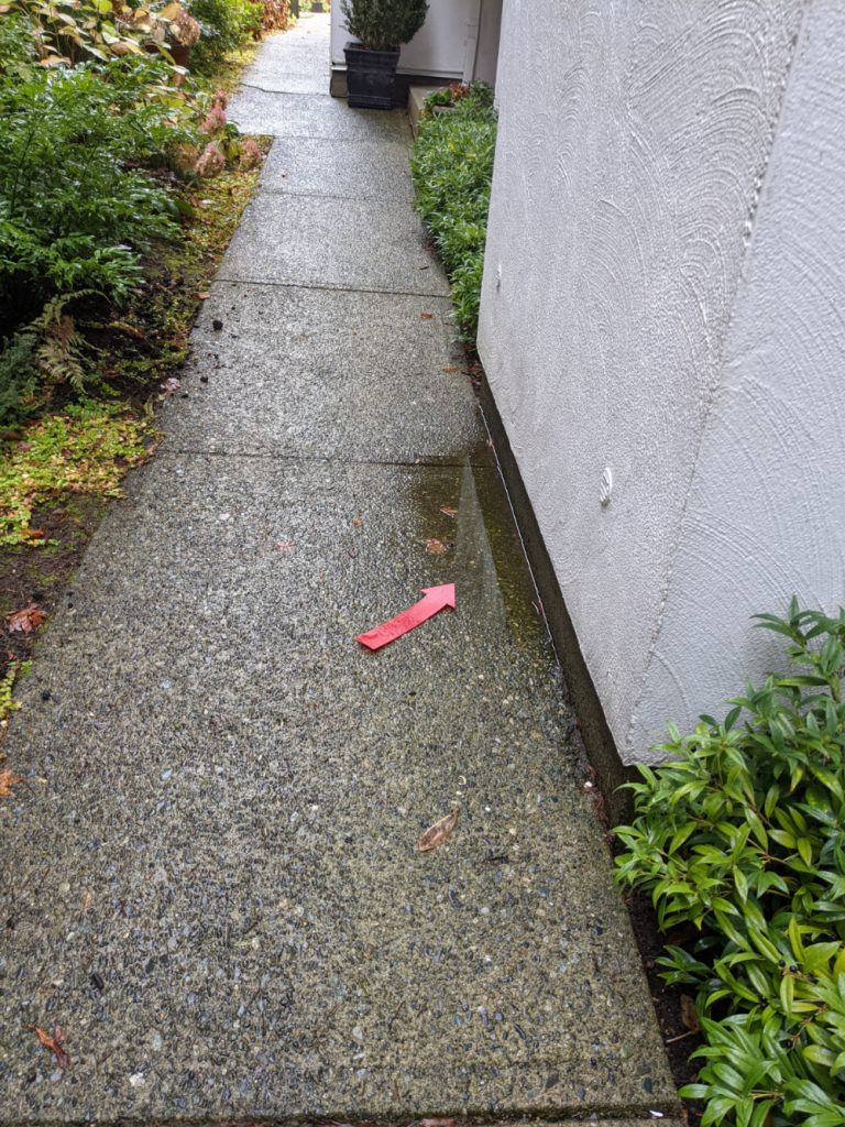 walkway with pooling water before concrete lifting