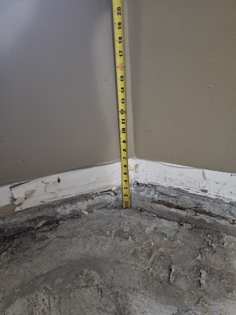 Vancouver Basement Restoration in Residential Facility