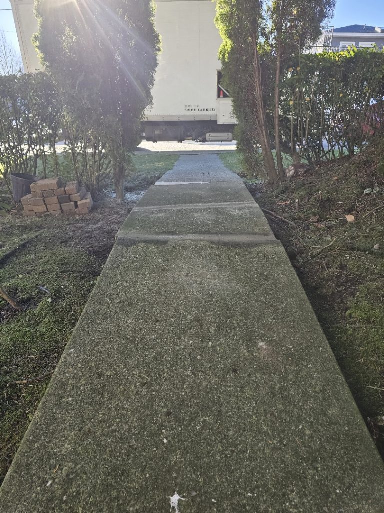 front walkway heaved by tree root - after