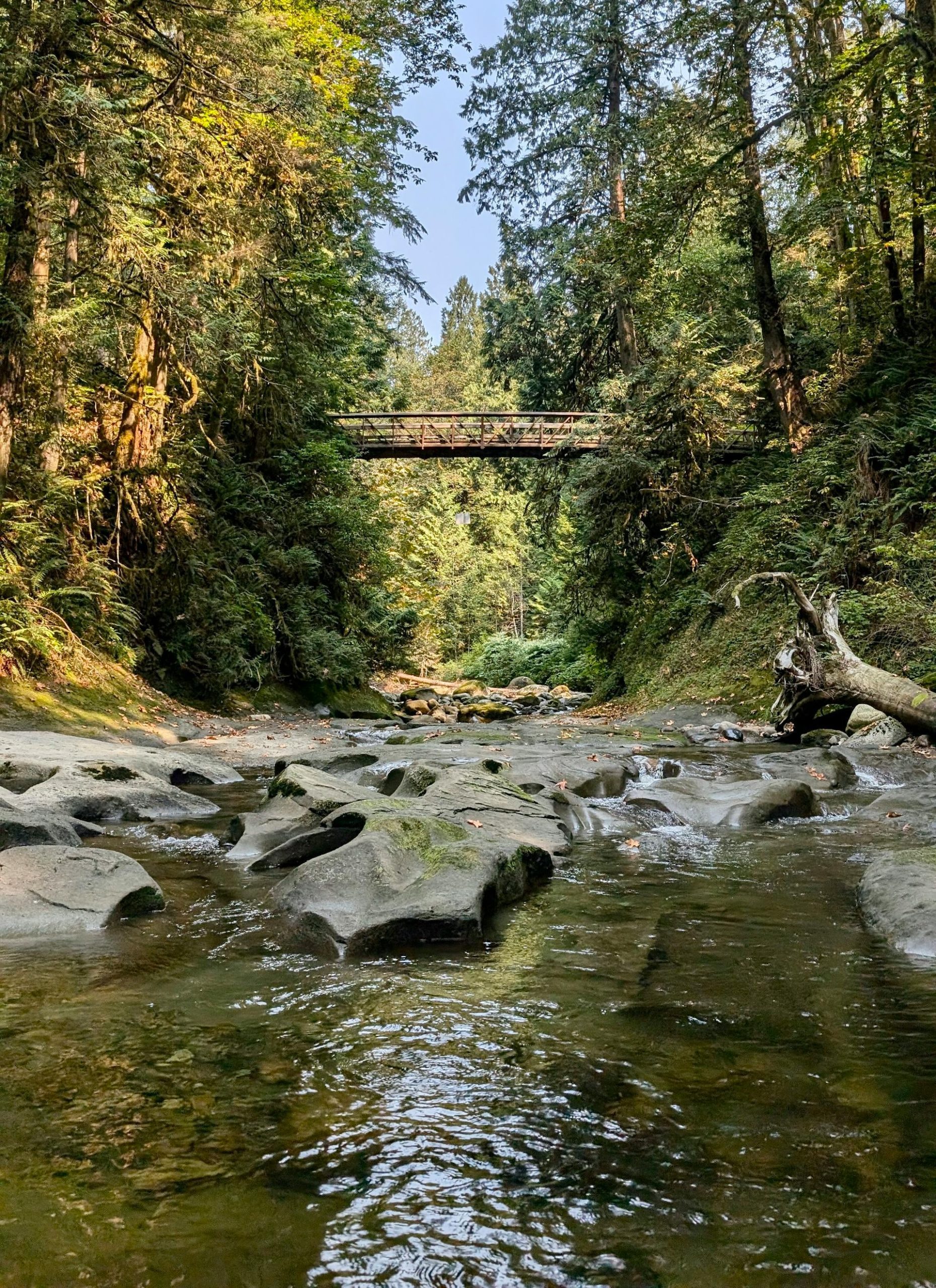 Kanaka Creek - Maple Ridge, BC