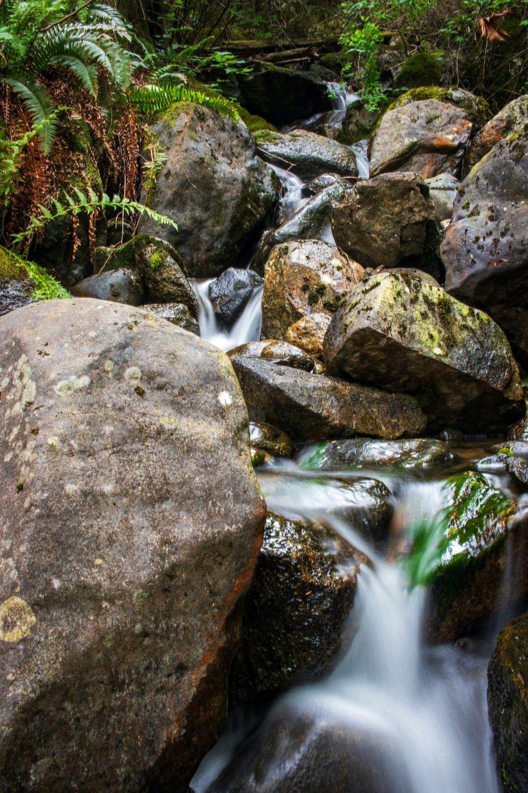 Small waterfall in Mission, BC