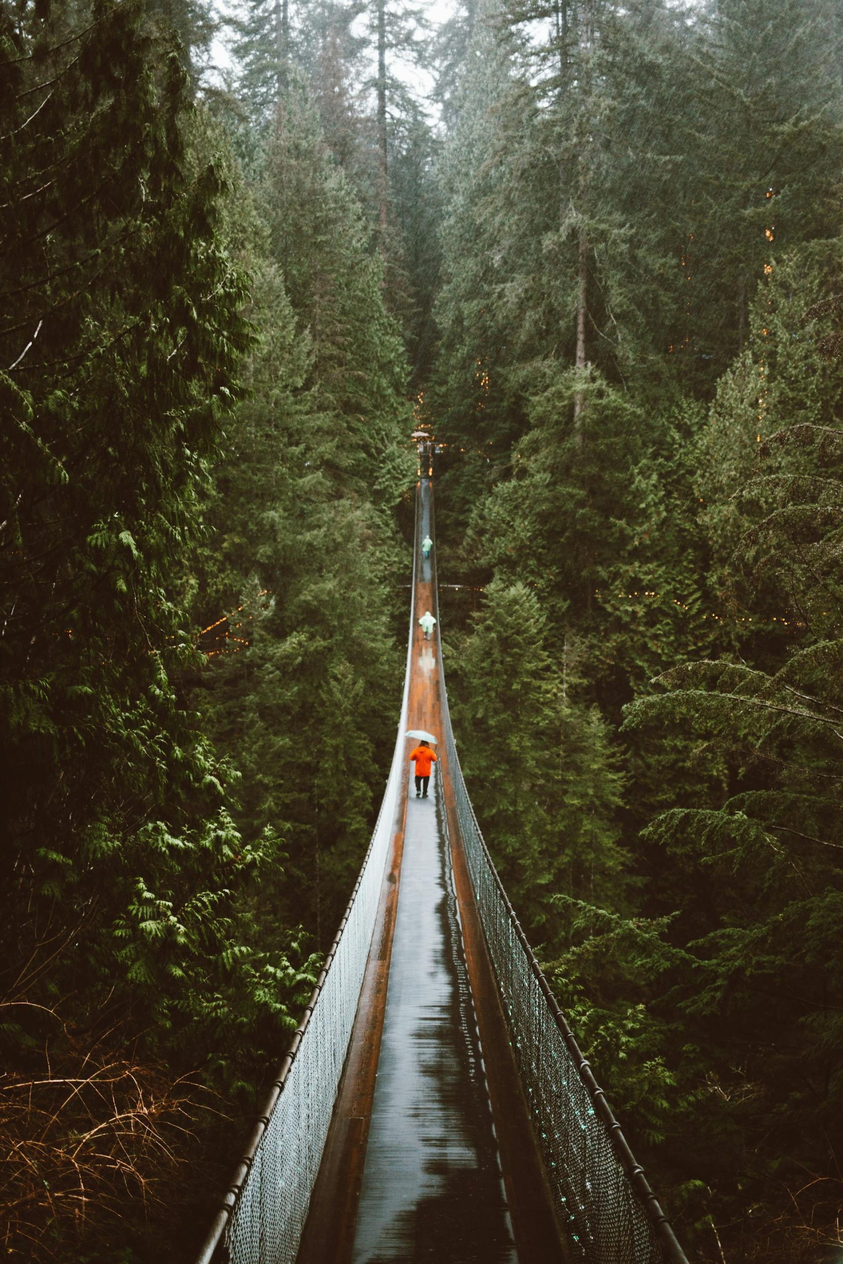 Capilano Suspension Bridge in North Vancouver, BC