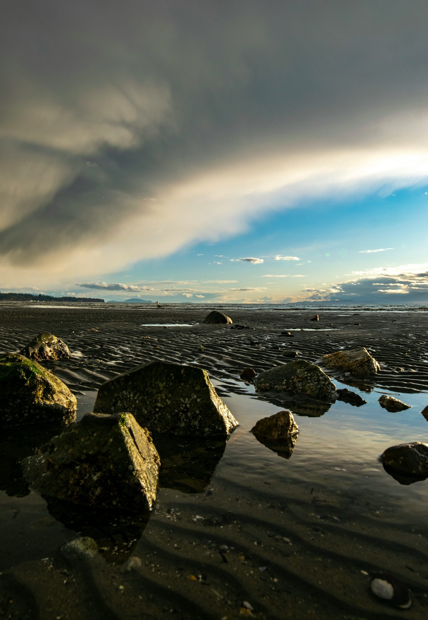Beach in White Rock, BC